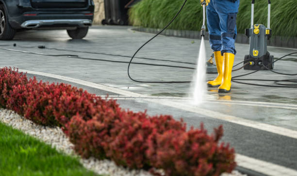 Best Fence Pressure Washing  in Crystal Lawns, IL